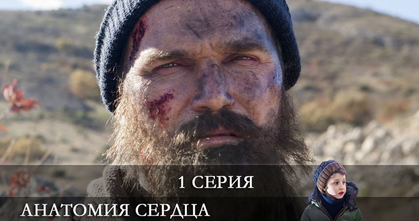 Анатомия сердца