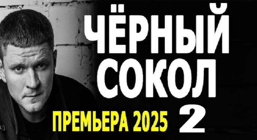 Чёрный сокол 2