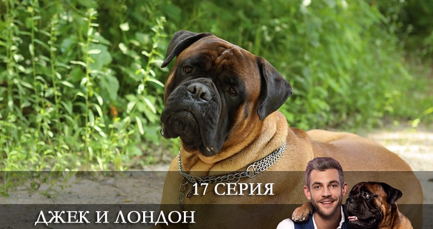 Джек и Лондон 