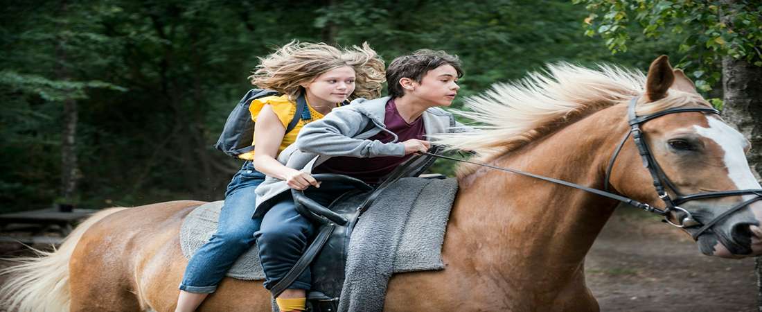 Как мы сбежали с цирком