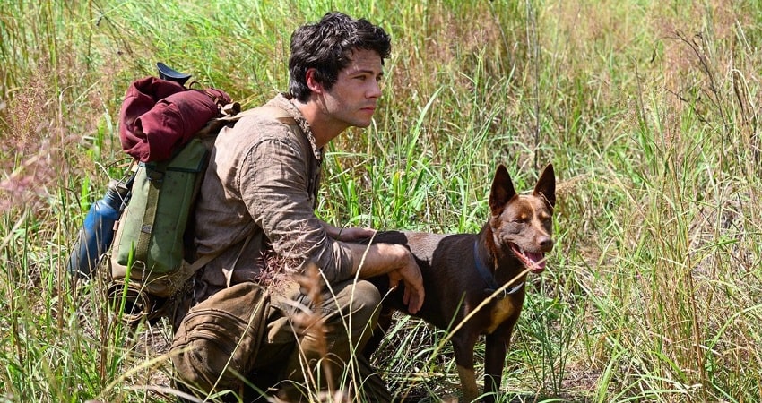 Любовь и монстры Love and Monsters 2020