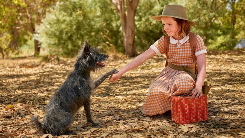 Мой любимый двортерьер 2024