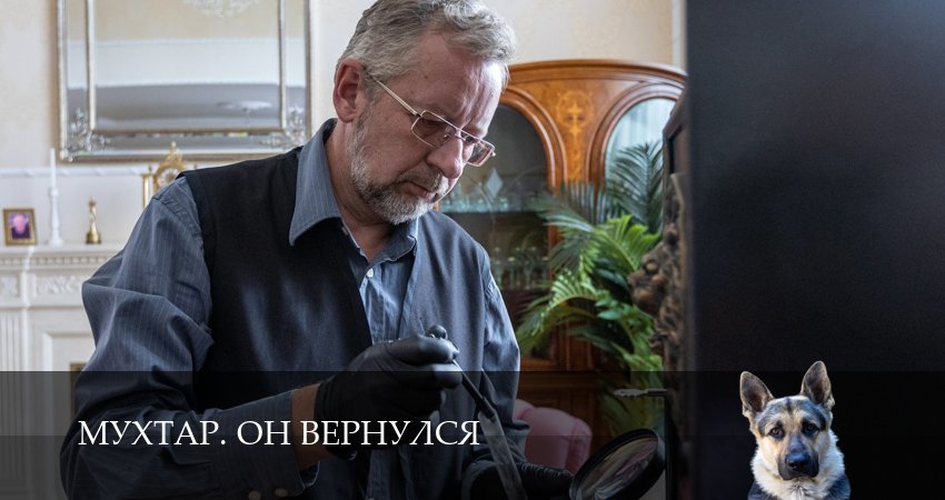 Мухтар. Он вернулся