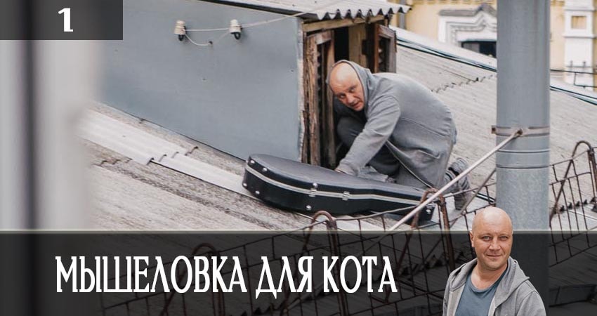 Мышеловка для кота