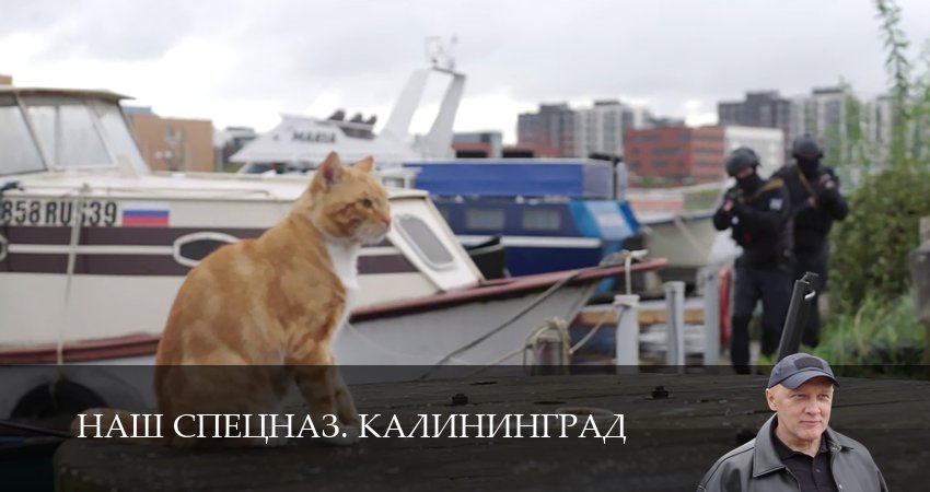 Наш спецназ. Калининград