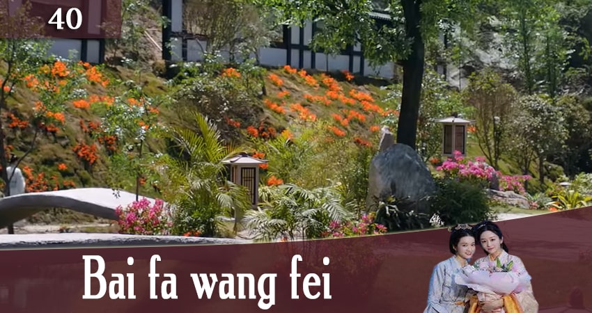 Серебряная Принцесса  Волосы в серебре 