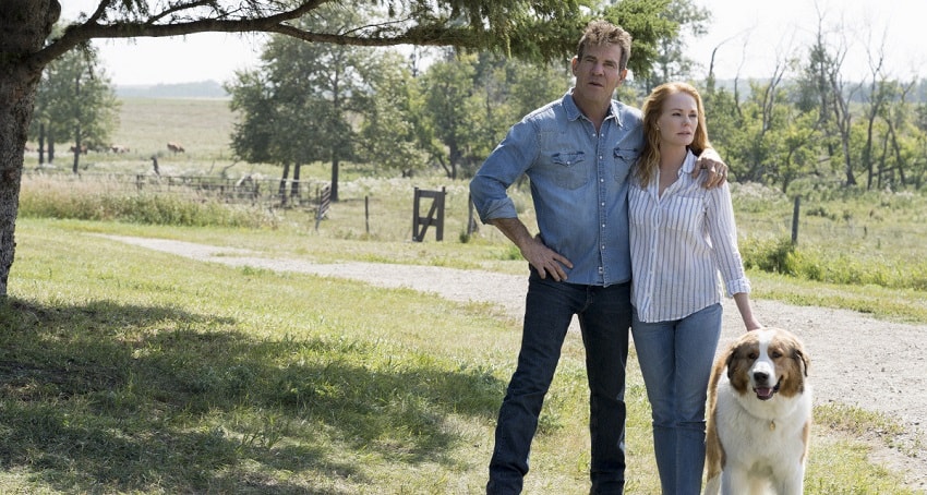 Собачья жизнь 2