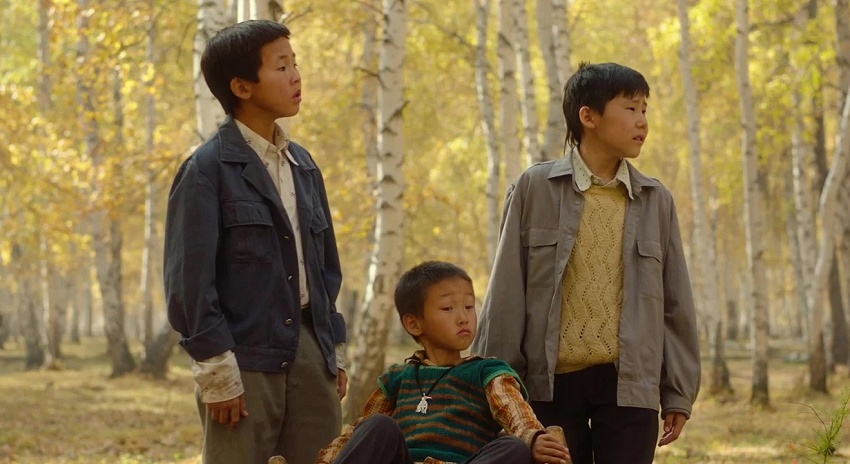 Там, где танцуют стерхи 2026