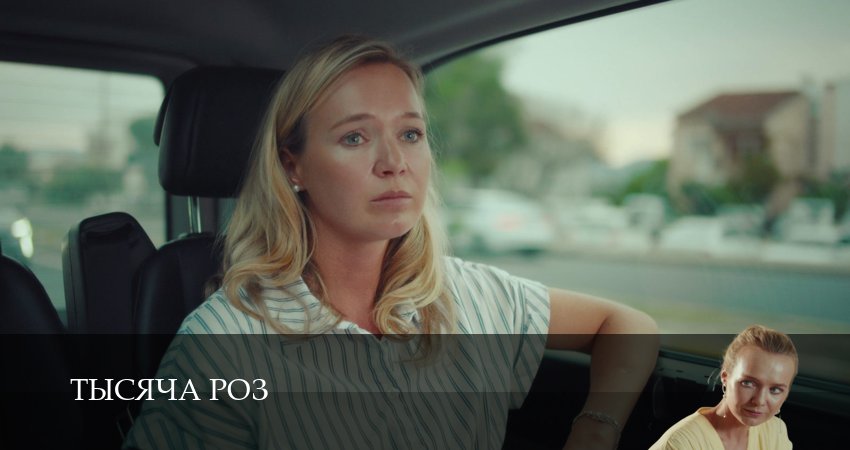 Тысяча роз